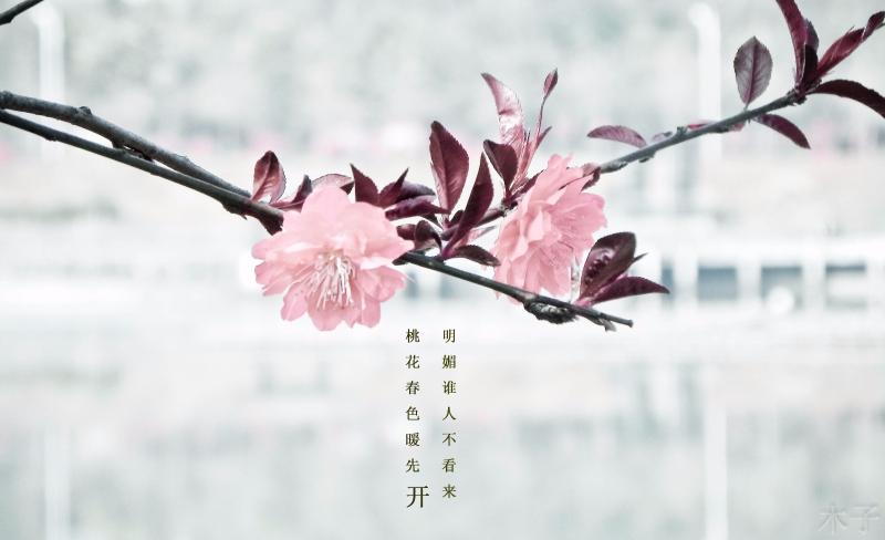 宜興市圖書(shū)館3月活動(dòng)一覽