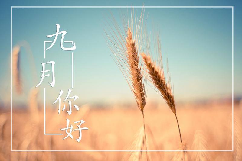宜興市圖書(shū)館9月活動(dòng)一覽